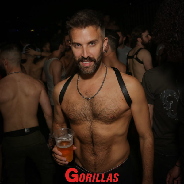 Gorillas-20Mai20221897