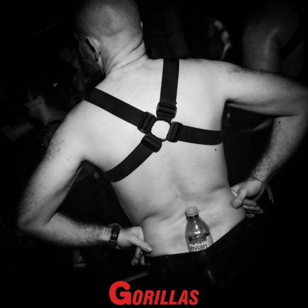 Gorillas-20Mai20221905