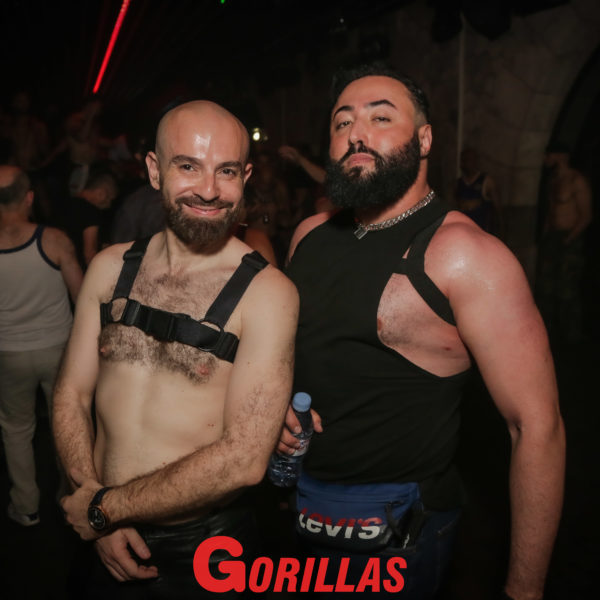 Gorillas-20Mai20221910