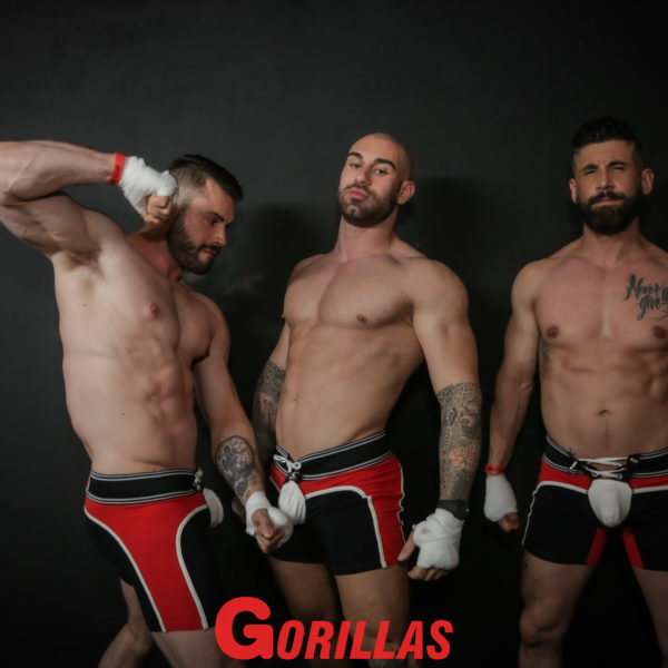 Gorillas-20Mai20222021