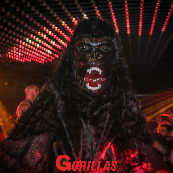 Gorillas-20Mai20222213