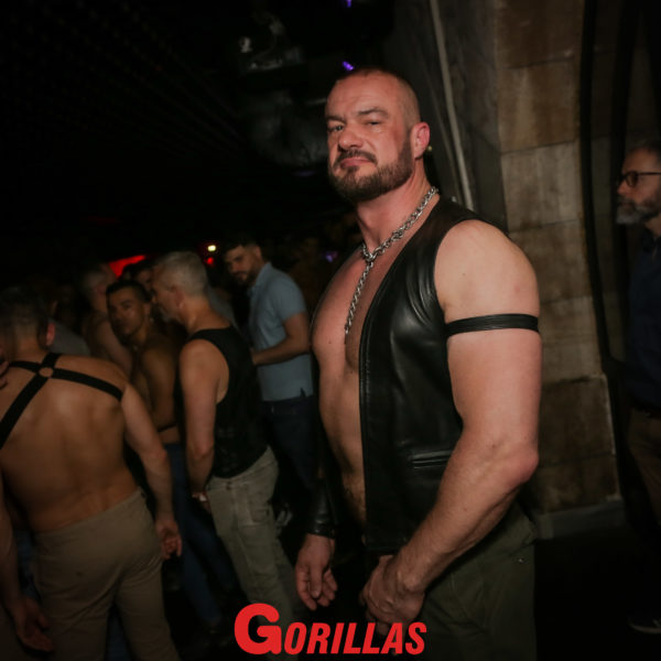 Gorillas-20Mai20222355