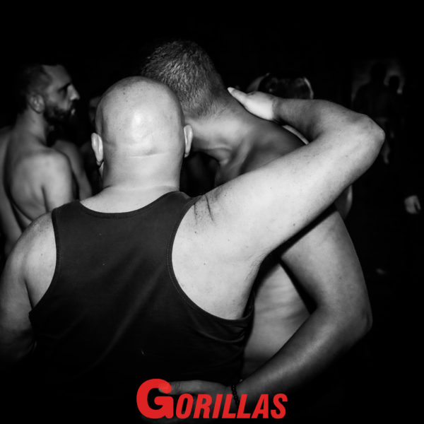 Gorillas-20Mai20222486