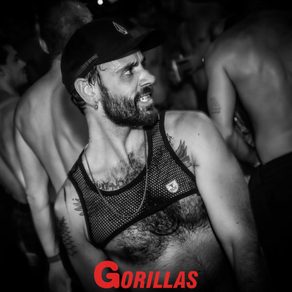 Gorillas-20Mai20222502