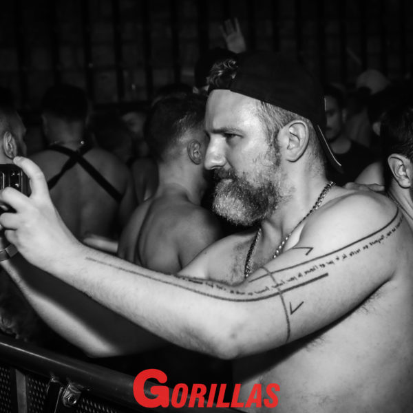 Gorillas-20Mai20222573